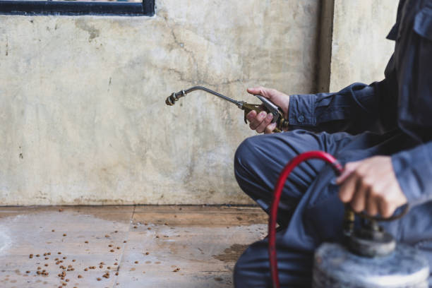 Best Cockroach Control Services  in Bruceton, TN